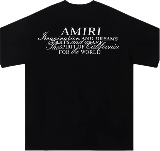 Amiri T-Shirts