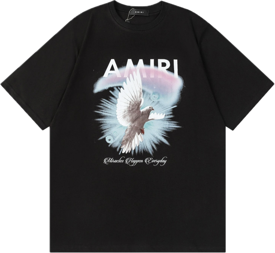 Amiri T-Shirts
