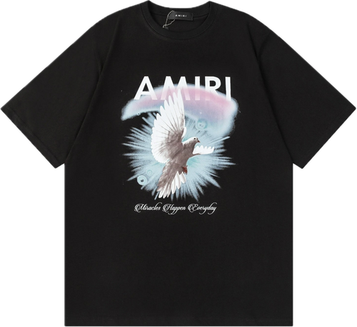Amiri T-Shirts