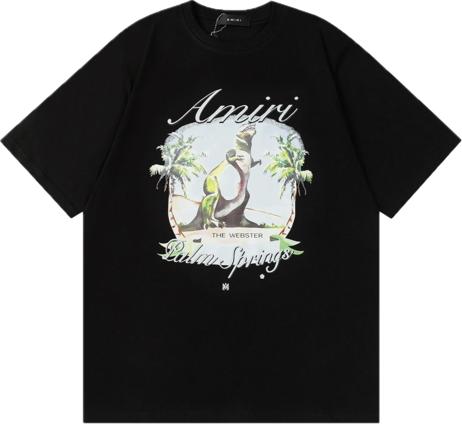 Amiri T-Shirts
