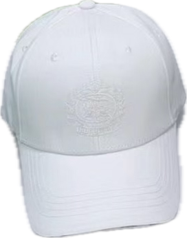 Burberry Caps