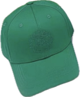 Burberry Caps