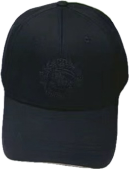 Burberry Caps